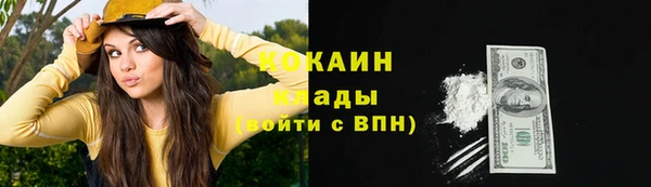 прущие крисы Болотное