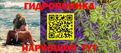 скорость Моздок