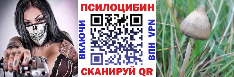 купить закладку  Ржев  Галлюциногенные грибы прущие грибы 