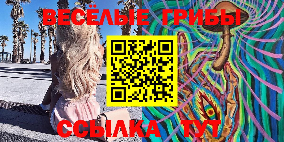 Ржев  Псилоцибиновые грибы мухоморы  наркота  Вход с VPN 