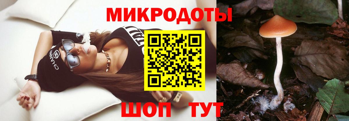 Галлюциногенные грибы Cubensis Ржев